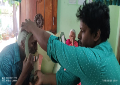 Sai Chaitanya Foundation